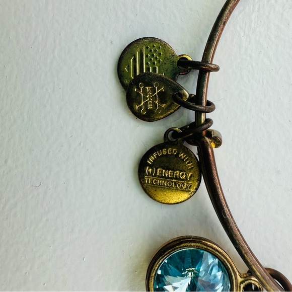 Alex and Ani Initial
Charm Blue Topaz March Bangle
Bracelet - Picture 2 of 3